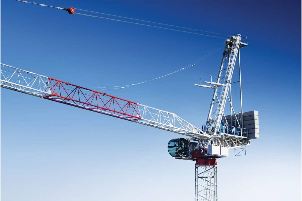 Raimondi LR273 — Raimondi